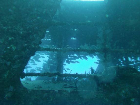 Naufrágio repleto de peixes em Isla Mujeres, no litoral do Yucatán, no sul do México